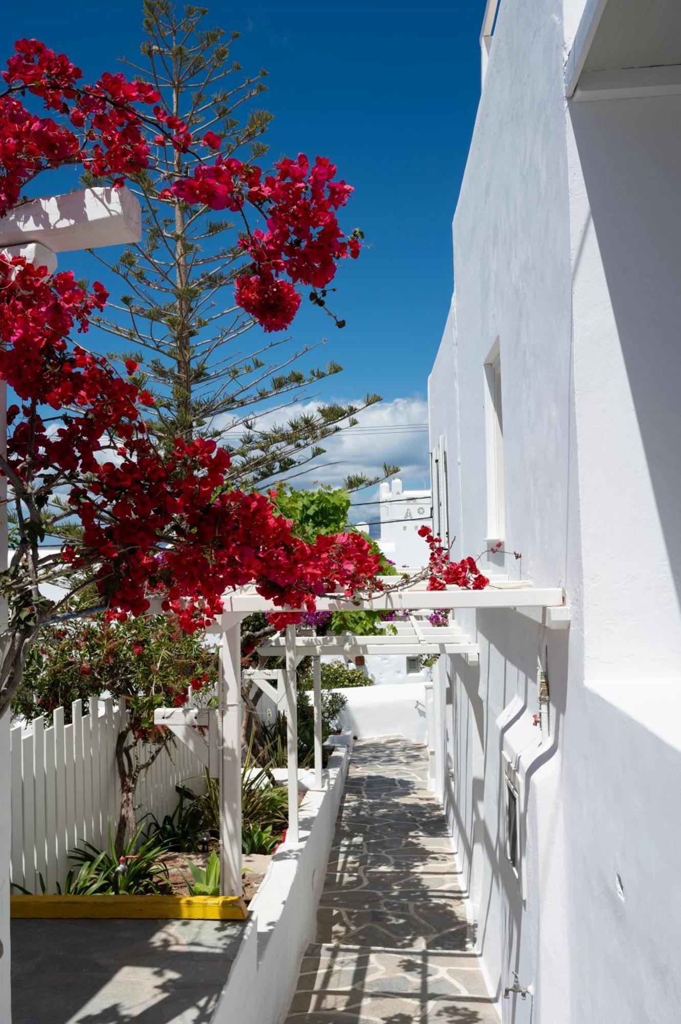 מלון Mykonos Town Boutique Di Vito מראה חיצוני תמונה