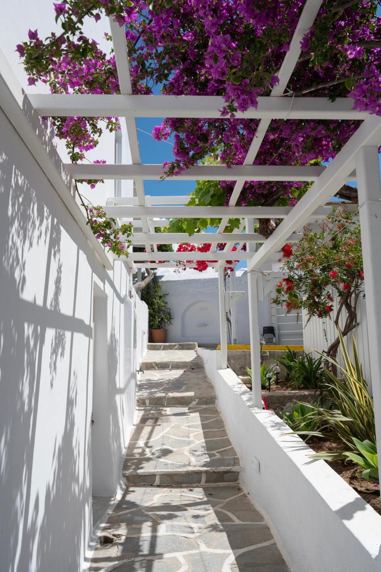 מלון Mykonos Town Boutique Di Vito מראה חיצוני תמונה