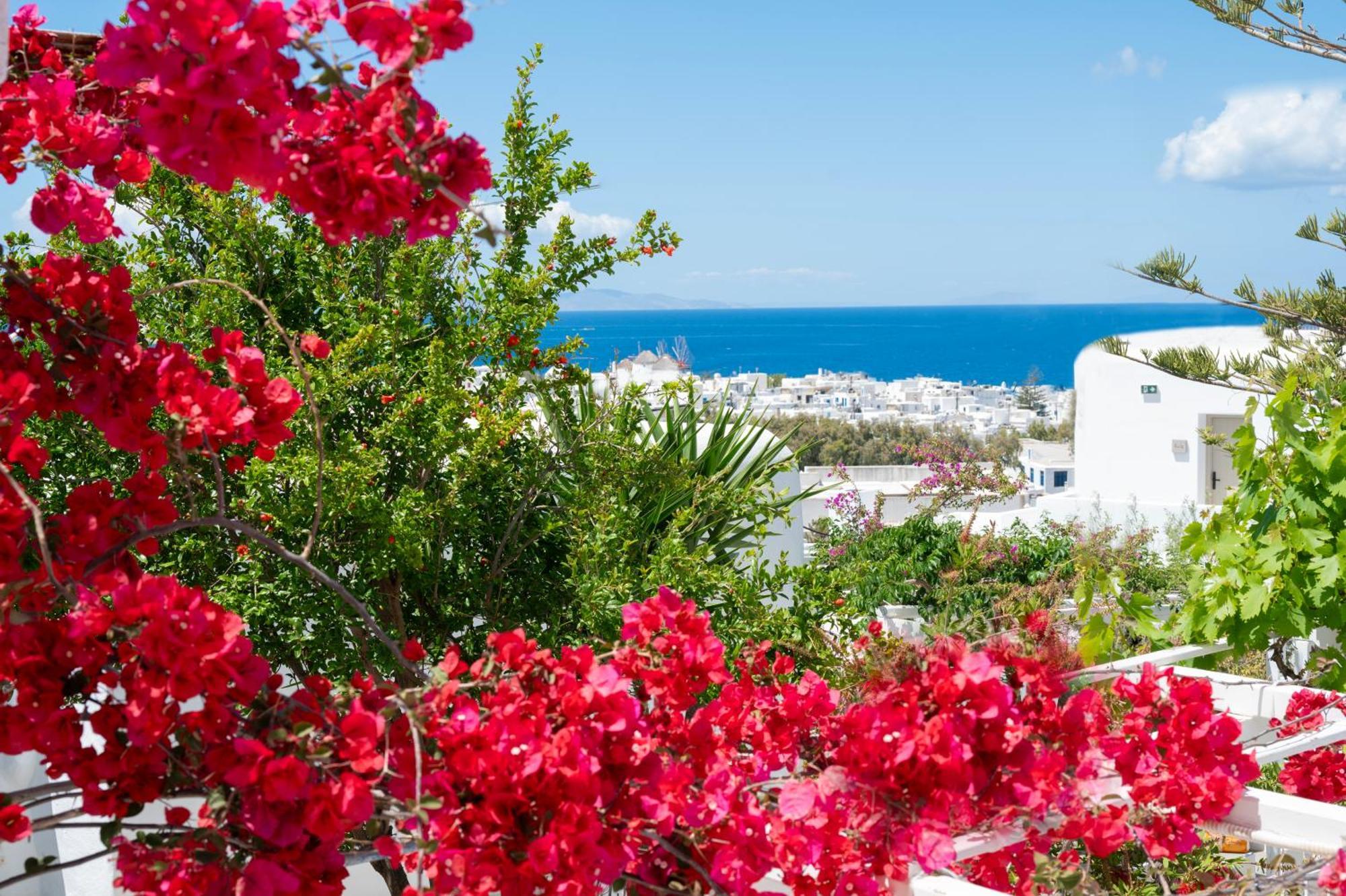 מלון Mykonos Town Boutique Di Vito מראה חיצוני תמונה